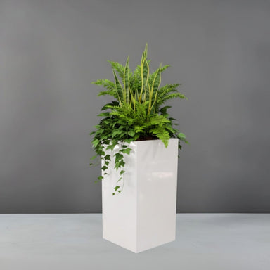 Potsdam Tall Corner Fiberglass Planter filled with plants against gray background.