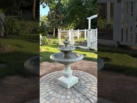Alessia Fountain - FT-442