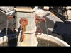 Avignon Pond Fountain in action.