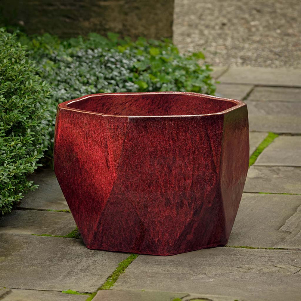 Prism Planter - Barolo on concrete in the backyard.