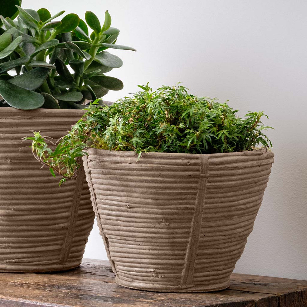 Reed Planter in brown filled with plants