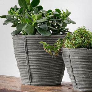 Reed Planter, Large in grey filled with plants