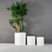 Rio Grande Cylinder Fiberglass Planter shown in different sizes filled with plants.