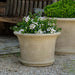 Sagamore Planter filled with white flowers in the backyard