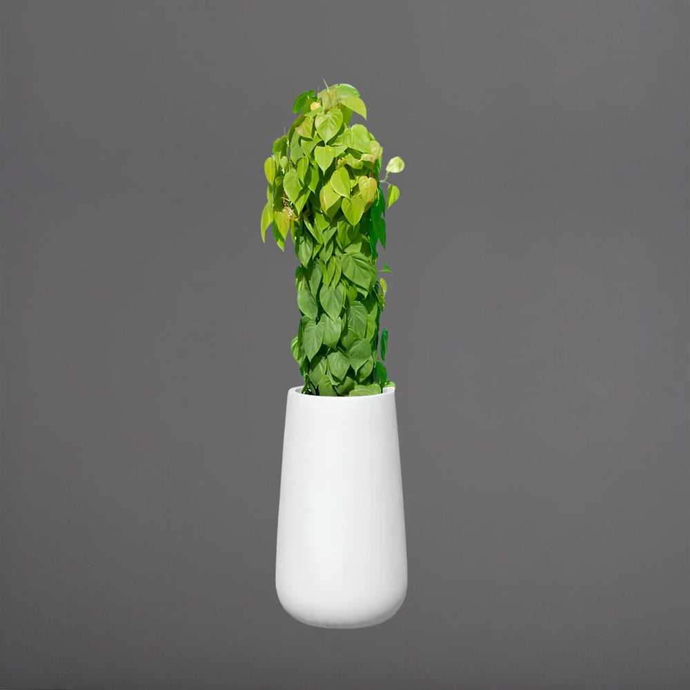 Saigon Tapered Round Fiberglass Planter filled with plants against white background.