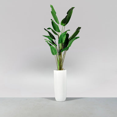 Saint Tropez Tall Bullet Round Fiberglass Planter on concrete filled with plants.