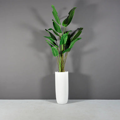 Saint Tropez Tall Bullet Round Fiberglass Planter on concrete filled with plants.