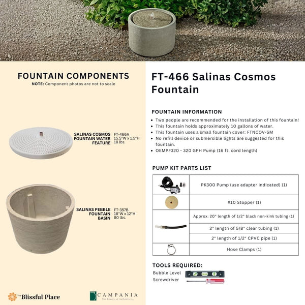Salinas Cosmos Fountain Info Sheet