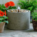 Salinas Pebble Fountain, Low on concrete beside orange flowers