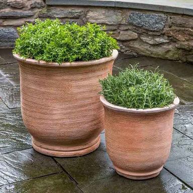 Sami Urn Terra Cotta S/2 on the concrete filled with green leaves