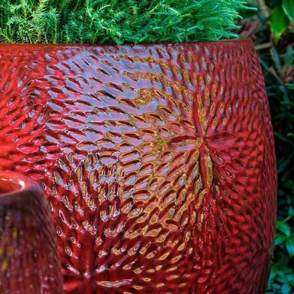 Tropic Red Glazed Sand Dollar Planters – Set of 4