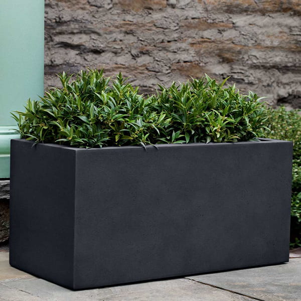 Sandal Planter 361818 S/1 in lead lite on concrete filled with plants.