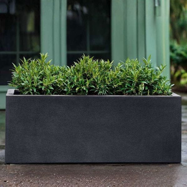Sandal Planter 481818 S/1 Campania International — The Blissful Place