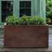 Sandal Planter 592424 S/1 in rust lite on concrete filled with plants.