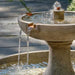 Sanibel Fountain on the concrete with plants background upclose