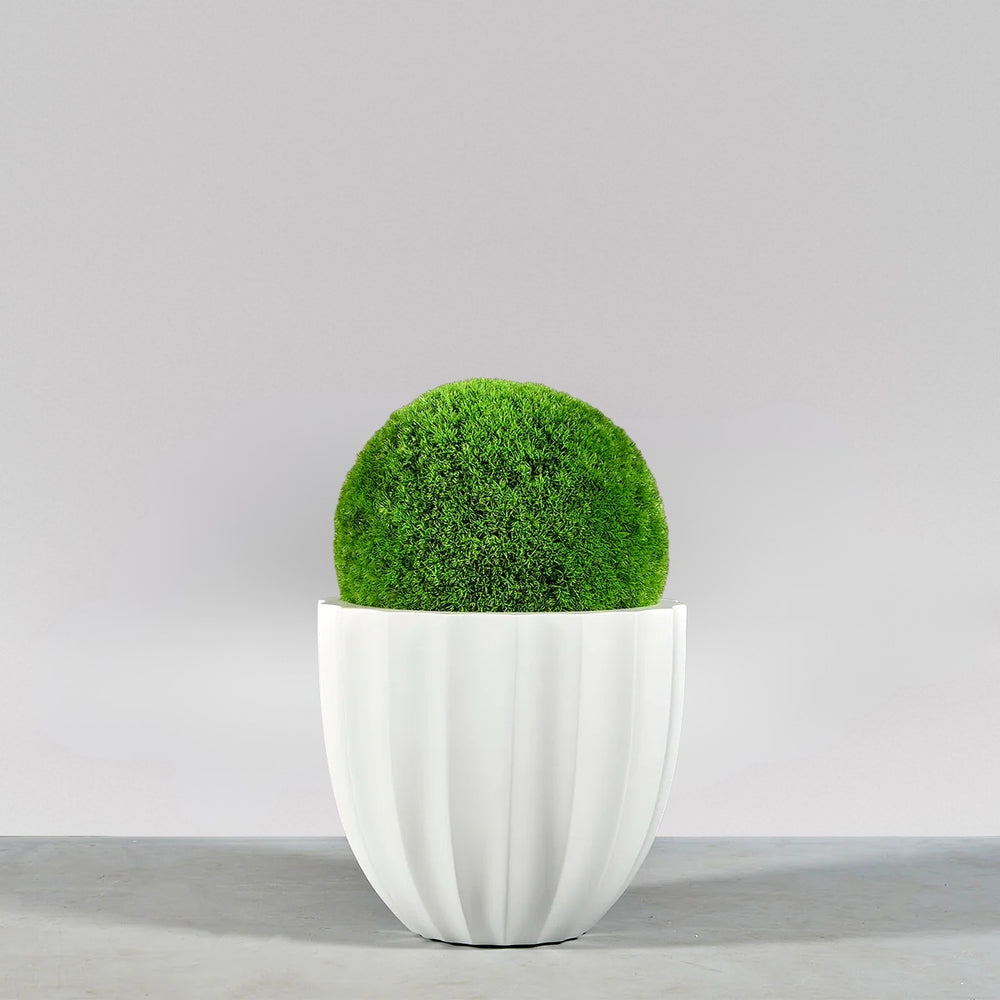 Santa Barbara Fluted Round Fiberglass Planter on concrete filled with plants.