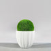 Santa Barbara Fluted Round Fiberglass Planter on concrete filled with plants.