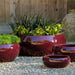 Sasha Planter - Plum - S/4 on gravel in the backyard