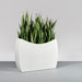 Seoul Modern Curved Rectangle Fiberglass Planter on concrete filled with plants.