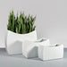 Seoul Modern Curved Rectangle Fiberglass Planter shown with three different sizes.