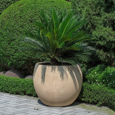 Sfera Planter, Large filled with plants in the backyard.