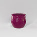 Shanghai Fishbowl Fiberglass Planter in gloss eggplant against gray background.