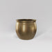 Shanghai Fishbowl Fiberglass Planter in gloss metallic gold against gray background.
