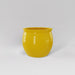 Shanghai Fishbowl Fiberglass Planter in gloss saffron against gray background.
