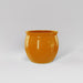 Shanghai Fishbowl Fiberglass Planter in gloss tangerine against gray background.