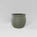 Shanghai Fishbowl Fiberglass Planter in satin beige against gray background.
