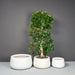 Short Hayden Tapered Round Fiberglass Planter on concrete against gray wall.