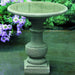 Siena birdbath on concrete in the backyard