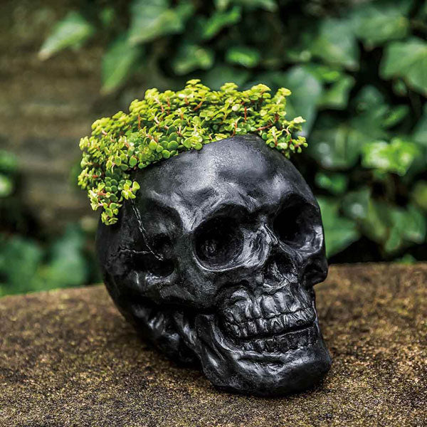 Skull Planter Campania International — The Blissful Place