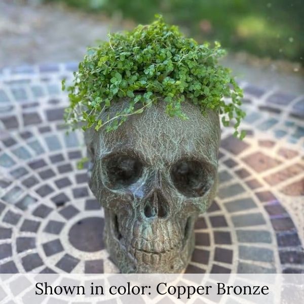 Skull Planter filled with plants on the floor.