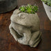 Stone Frog Planter on table filled with plants.