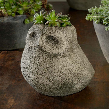 Stone Owl Planter on table filled with plants.