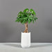 Tall Hayden Tapered Round Fiberglass Planter on concrete filled with plants.