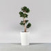 Tagel Tapered Round Fiberglass Planter on concrete filled with plants.
