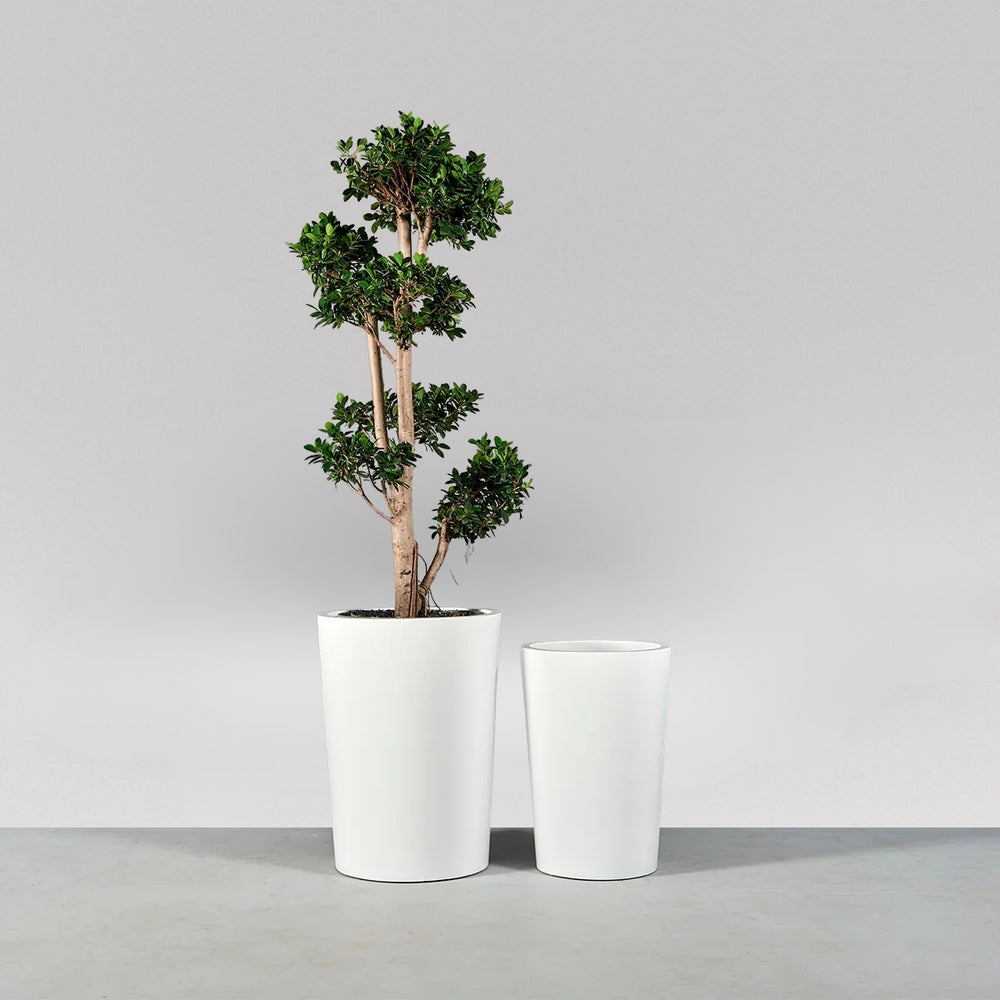 Tagel Tapered Round Fiberglass Planter shown with different sizes filled with plants.