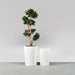Tagel Tapered Round Fiberglass Planter shown with different sizes filled with plants.