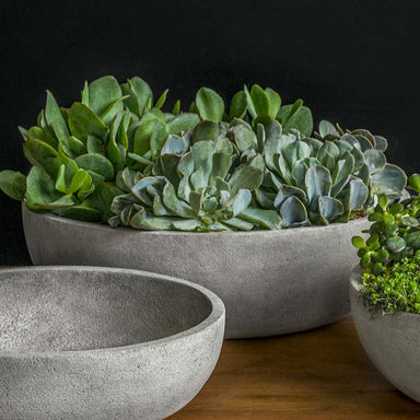 Terarce Bowl, Large on table filled with plants