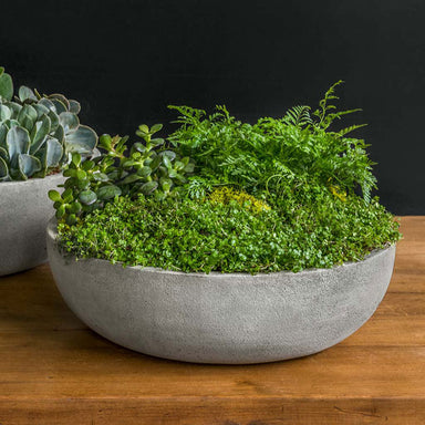 Terrace Bowl, Medium on table filled with plants