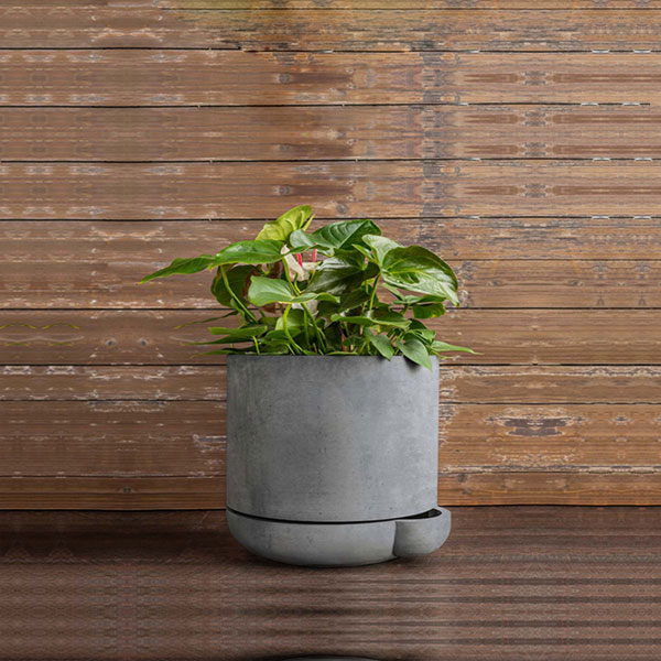 The Simple Pot 1 Quart Planter in grey filled with plants