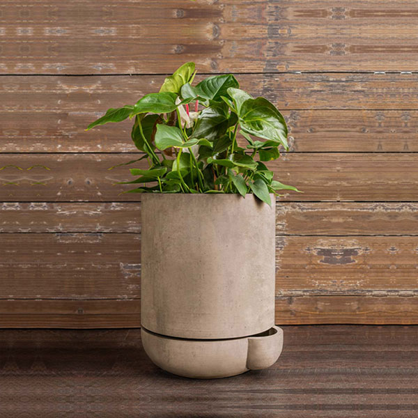 The Simple Pot, 3 Gallon Planter in brown filled with plants