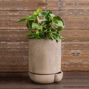 The Simple Pot, 5 Gallon Planter in brown filled with plants