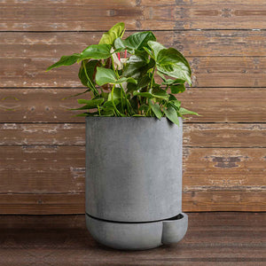 The Simple Pot, 5 Gallon Planter in grey filled with plants