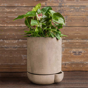 The Simple Pot, 7 Gallon Planter in brown filled with plants