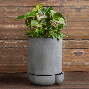 The Simple Pot, 7 Gallon Planter in grey filled with plants