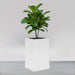 Tolga Corner Fiberglass Planter filled with plants against gray backdrop.