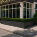Tolga Modular Fiberglass Planters in matte charcoal with trimmed boxwood hedges lining a modern restaurant building exterior